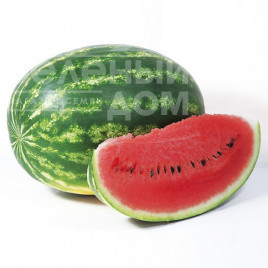 Насіння кавуна Найсі (КС 638) F1 / Naysi (KS 638) F1 купити оптом і в роздріб в Україні за вигідною ціною