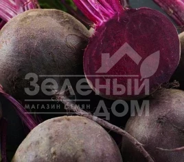 Семена свеклы Детройт / Detroit,90-100 дней купить оптом и в розницу в Украине по выгодной цене