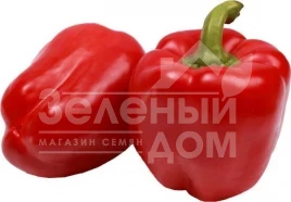 Семена сладкого перца Рубика F1 / Rubika F1,70-80 дней купить оптом и в розницу в Украине по выгодной цене