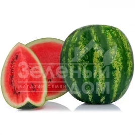 Семена арбуза Леонардо F1 / Leonardo F1,58-63 дня купить оптом и в розницу в Украине по выгодной цене