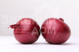 Цибуля ріпчаста Рубіред F1 / Rubired F1 купити оптом і в роздріб в Україні за вигідною ціною