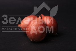 Цибуля ріпчаста Доккер F1 / Dokker F1 купити оптом і в роздріб в Україні за вигідною ціною