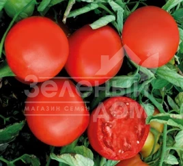 Семена томатов ЮГ Б 169 F1 / UG B 169 F1,70-75 дней купить оптом и в розницу в Украине по выгодной цене