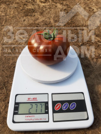 Насіння томатів Керук F1 / Keruk F1, 70 днів купити оптом і в роздріб в Україні за вигідною ціною