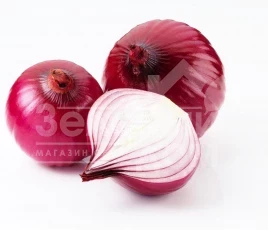 Лук репчатый Ретано F1 / Retano F1,115-120 дней купить оптом и в розницу в Украине по выгодной цене