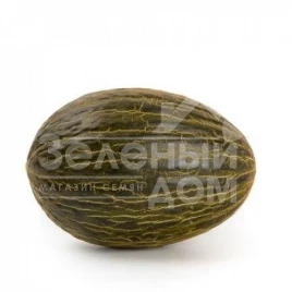 Семена дыни Бравура F1 / Вravura F1,75-80 дней купить оптом и в розницу в Украине по выгодной цене