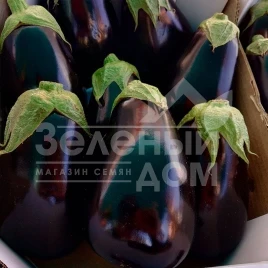 Семена баклажана Сара F1 (CRX 50129) / Sara F1 (CRX 50129),58-62 дня купить оптом и в розницу в Украине по выгодной цене