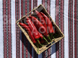 Насіння гіркого перцю Мараб F1 / Marab F1  купити оптом і в роздріб в Україні за вигідною ціною