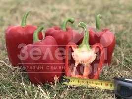 Семена сладкого перца Кримсон Кинг F1 / Crimson King F1 купить оптом и в розницу в Украине по выгодной цене
