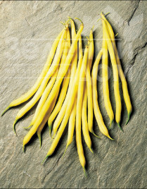 Насіння спаржевої квасолі Фруідор / Fruidor купити оптом і в роздріб в Україні за вигідною ціною