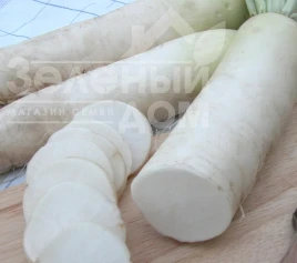 Насіння редьки Алабастер F1 / Alabaster F1, 75-85 днів купити оптом і в роздріб в Україні за вигідною ціною