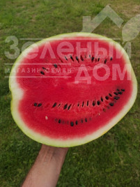 Насіння кавуна Зоря F1 / Zorya F1 купити оптом і в роздріб в Україні за вигідною ціною