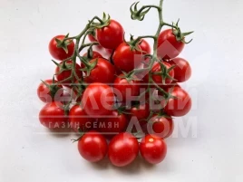 Семена томатов Дредд F1 / Dredd F1, 95 дней купить оптом и в розницу в Украине по выгодной цене