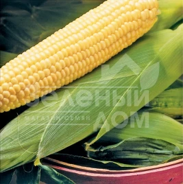 Семена кукурузы Бостон F1 / Boston F1,73 дня купить оптом и в розницу в Украине по выгодной цене