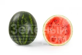 Семена арбуза Керрол F1 / Сarroll F1,58-62 дня купить оптом и в розницу в Украине по выгодной цене