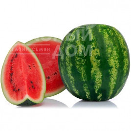 Насіння кавуна Леонардо F1 / Leonardo F1,58-63 дні купити оптом і в роздріб в Україні за вигідною ціною