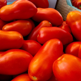 Насіння томатів Рочча F1 / Roccia F1 купити оптом і в роздріб в Україні за вигідною ціною