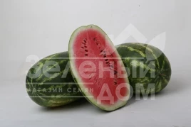 Семена арбуза ЛС 1807 F1 / LS 1807 F1 купить оптом и в розницу в Украине по выгодной цене