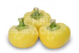 Насіння солодкого перцю Бікіш F1 / Bikish F1 купити оптом і в роздріб в Україні за вигідною ціною