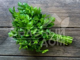 Семена петрушки Итальянский гигант / Italian Giant купить оптом и в розницу в Украине по выгодной цене