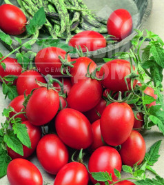 Насіння томатів Блумко F1 / Blumko F1,100-110 днів купити оптом і в роздріб в Україні за вигідною ціною