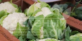 Семена капусты цветной Джава F1 / Java F1, 75-80 дней купить оптом и в розницу в Украине по выгодной цене