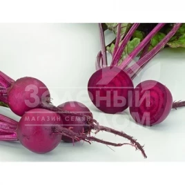 Семена свеклы Бонел / Bonel,110-115 дней купить оптом и в розницу в Украине по выгодной цене