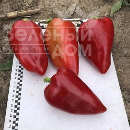 Насіння солодкого перцю Кольт F1 / Kolt F1,50-55 днів купити оптом і в роздріб в Україні за вигідною ціною