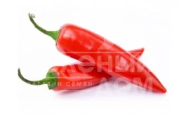 Семена горького перца Козумел F1 / Kozumel F1 купить оптом и в розницу в Украине по выгодной цене