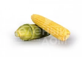 Семена кукурузы Макарон F1 / Macarone F1, 77-81 день купить оптом и в розницу в Украине по выгодной цене