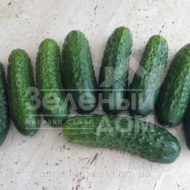 Семена огурцов Роял F1 / Royal F1,48-50 дней купить оптом и в розницу в Украине по выгодной цене