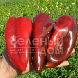 Семена сладкого перца Капелло F1 / Capello F1,60-65 дней купить оптом и в розницу в Украине по выгодной цене