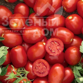 Насіння томатів Уссар F1 / Ussar F1,115-120 днів купити оптом і в роздріб в Україні за вигідною ціною