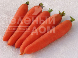 Насіння моркви Цидера / Cidera,145-155 днів купити оптом і в роздріб в Україні за вигідною ціною