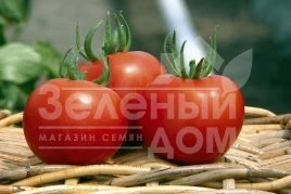 Семена томатов Силуэт F1 / Siluet F1,70-75 дней купить оптом и в розницу в Украине по выгодной цене