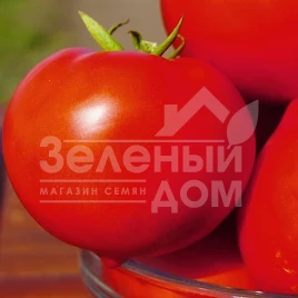 Семена томатов Каста F1 / Kasta F1,55-60 дней купить оптом и в розницу в Украине по выгодной цене