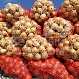 Лук репчатый Бур-Топ / Bur-Top, 105-115 дней купить оптом и в розницу в Украине по выгодной цене