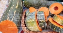 Семена тыквы Лунга Пиена ди Наполи / Lunga Piena di Napoli купить оптом и в розницу в Украине по выгодной цене