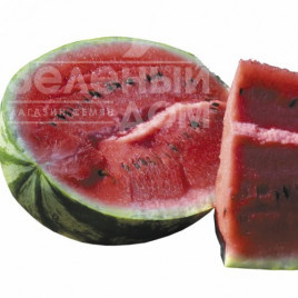 Насіння кавуна Ледус F1 / Ledus F1, 68-70 днів купити оптом і в роздріб в Україні за вигідною ціною