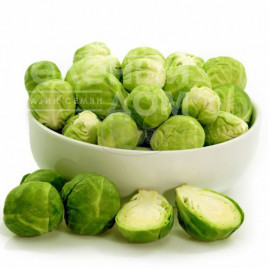 Насіння капусти брюссельської Брілліант F1 / Brilliant F1,130 днів купити оптом і в роздріб в Україні за вигідною ціною