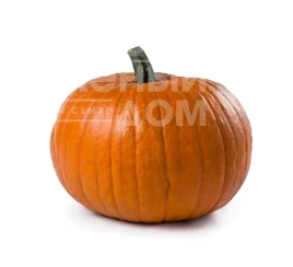 Семена тыквы Бумер F1 / Bumer F1  купить оптом и в розницу в Украине по выгодной цене