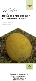 Насіння дині Придністровська / Pridnestrovskaya купити оптом і в роздріб в Україні за вигідною ціною