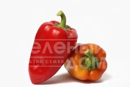 Семена сладкого перца Арбалет F1 / Arbalet F1, 70-75 дней купить оптом и в розницу в Украине по выгодной цене