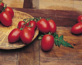 Насіння томатів Ріо Гранде / Rio Grande, 80-90 днів купити оптом і в роздріб в Україні за вигідною ціною