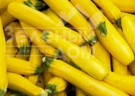 Насіння кабачка Єллоу Хаус F1 / Yellow House F1,45-50 днів купити оптом і в роздріб в Україні за вигідною ціною