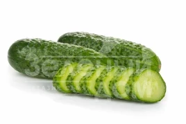 Семена огурцов Бридж F1 / Bridge F1 купить оптом и в розницу в Украине по выгодной цене