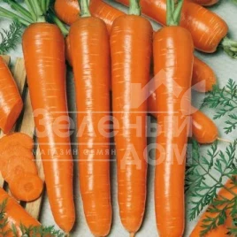 Семена моркови Маркетт / Markett,90-100 дней купить оптом и в розницу в Украине по выгодной цене