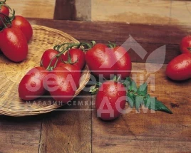 Семена томатов Рио Гранде / Rio Grande,80-90 дней купить оптом и в розницу в Украине по выгодной цене