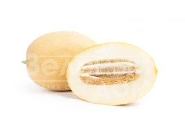 Семена дыни Тагбо F1 / Tagbo F1, 60-65 дней купить оптом и в розницу в Украине по выгодной цене