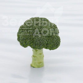 Насіння капусти броколі Монрелло F1 / Monrello F1, 80-85 днів купити оптом і в роздріб в Україні за вигідною ціною